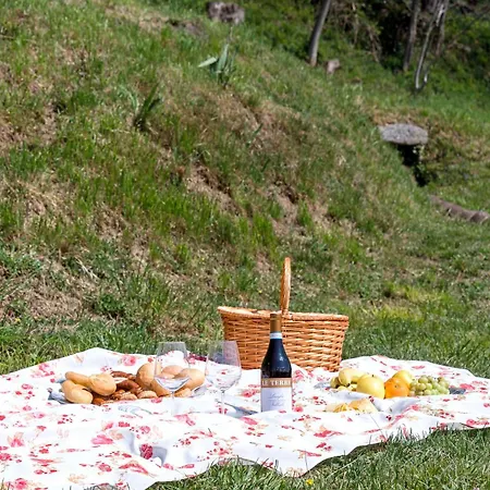 Bed & Breakfast La Corte And Restaurant - Free Parking - 10 Minutes To The And Centre 4*