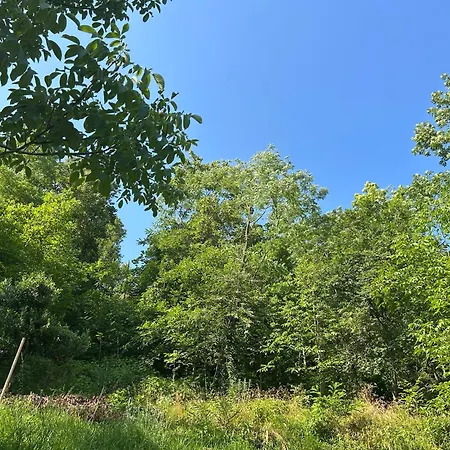 Bed & Breakfast La Corte And Restaurant - Free Parking - 10 Minutes To The And Centre Tavernerio