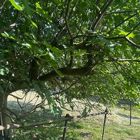 La Corte And Restaurant - Free Parking - 10 Minutes To The And Centre 4*