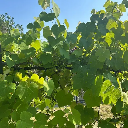 Frühstückspension La Corte And Restaurant - Free Parking - 10 Minutes To The And Centre 4*